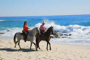 Horseback Riding Tour
