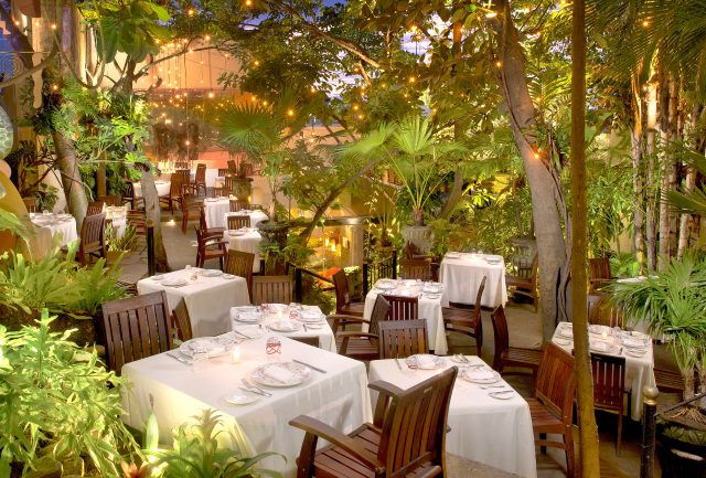 Cafe Des Artistes October