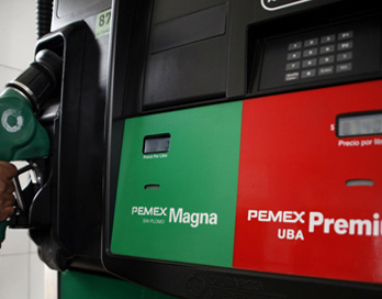 Gasolina WEB
