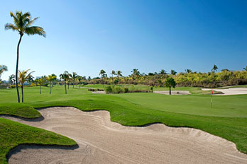 Nayar Golf web