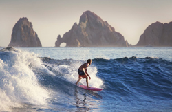Activities organized by MIE, a Destination Management company in Los Cabos