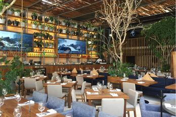 SONORA GRILL