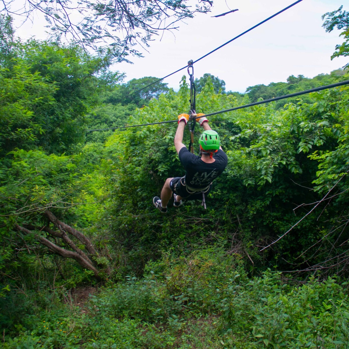 Zipline 2