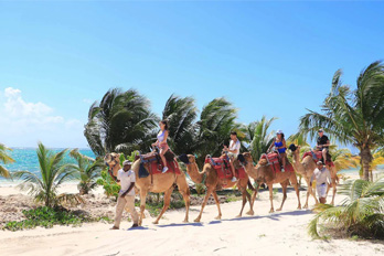camel ride