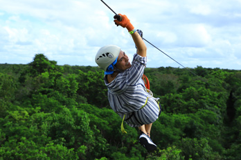 canopy