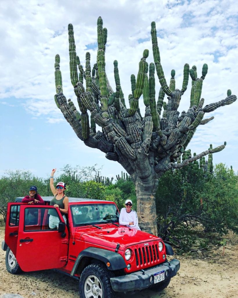 jeep canyon adventure