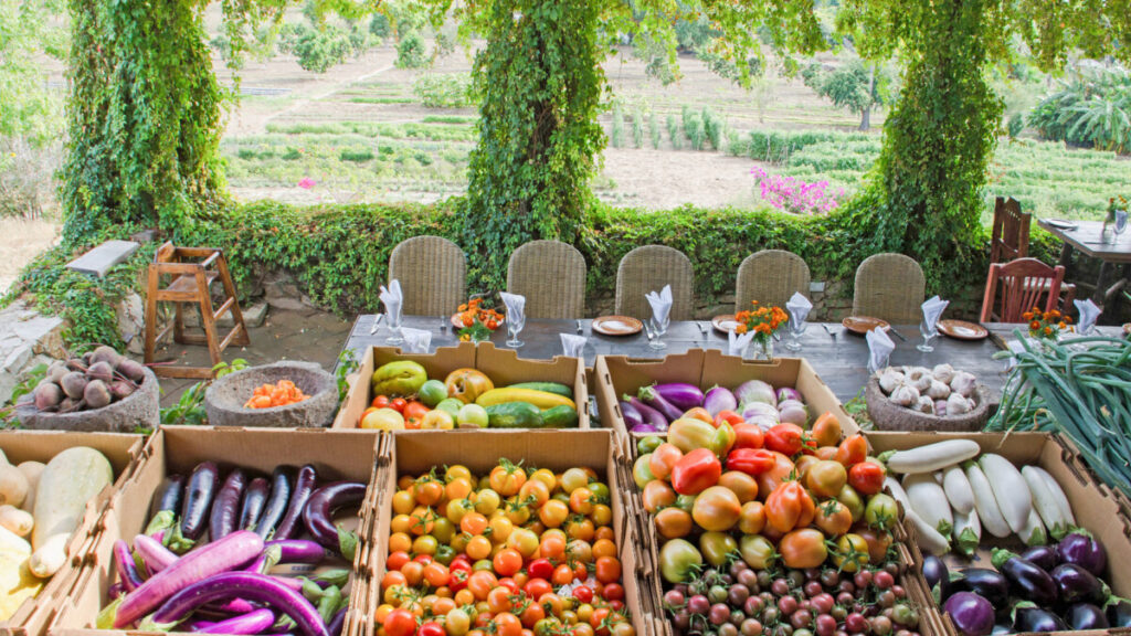 FARM TO TABLE
