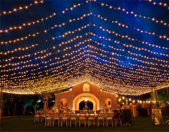 lights flora farms