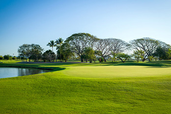 mayan palace golf