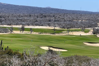 rancho san lucas web