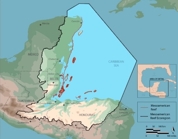 second largest reef