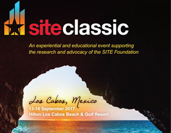 siteclassic WEB