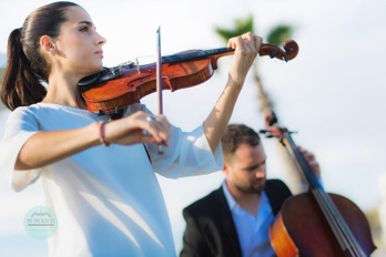 violin